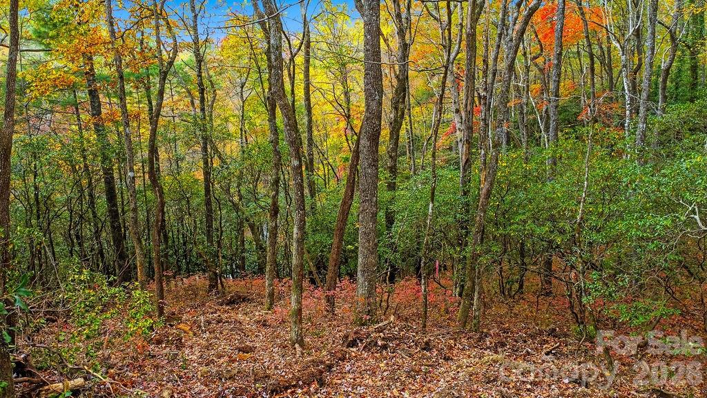 0 Indian Lake Road, Unit 21 Lake Toxaway, NC 28747 - Photo 6 of 23 a view of forest