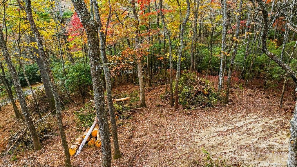 0 Indian Lake Road, Unit 21 Lake Toxaway, NC 28747 - Photo 8 of 23 a backyard of a house with lots of green space