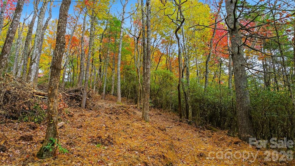 0 Indian Lake Road, Unit 21 Lake Toxaway, NC 28747 - Photo 9 of 23 a view of backyard with green space