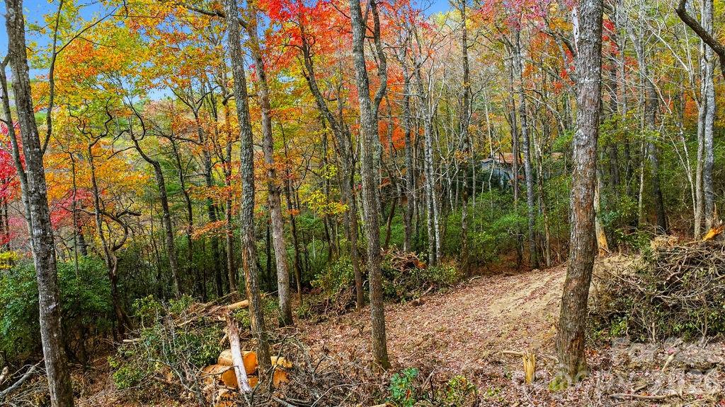 0 Indian Lake Road, Unit 21 Lake Toxaway, NC 28747 - Photo 10 of 23 a view of forest