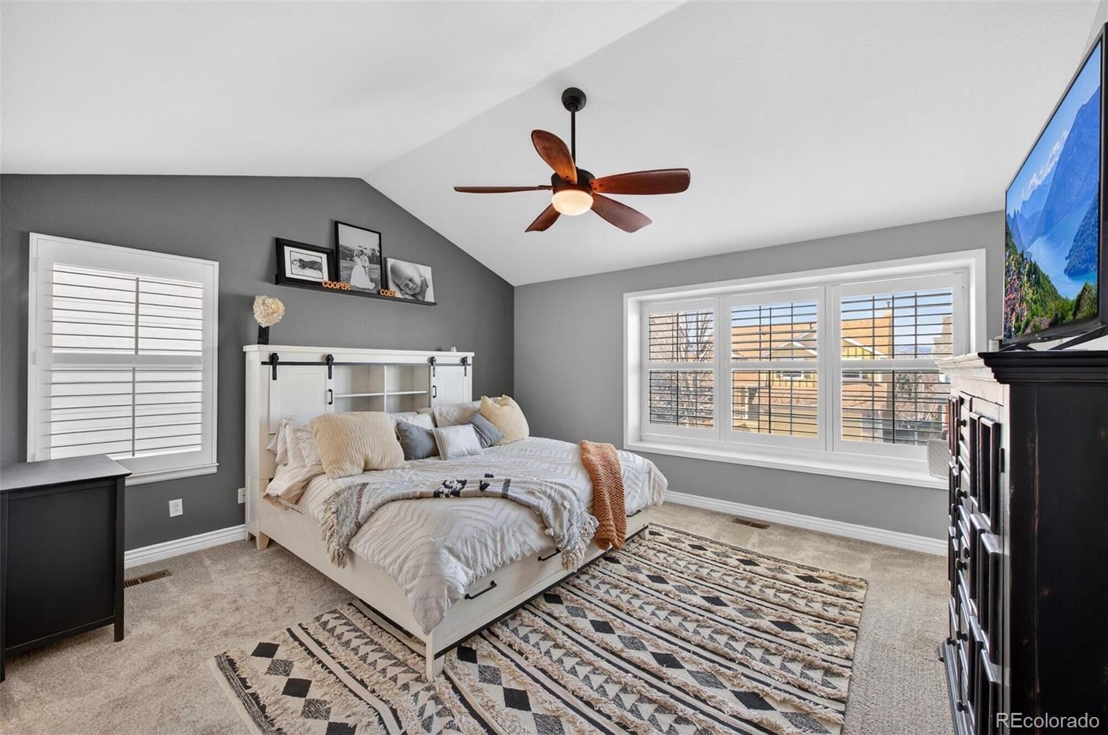 9774 Bucknell Court Highlands Ranch, CO 80129 - Photo 17 of 48