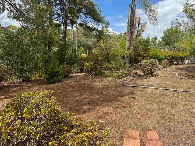 a view of backyard with outdoor space