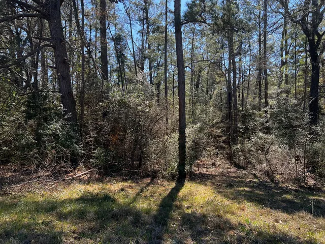 $800 | 2404 Highway 75, Huntsville, TX 77320