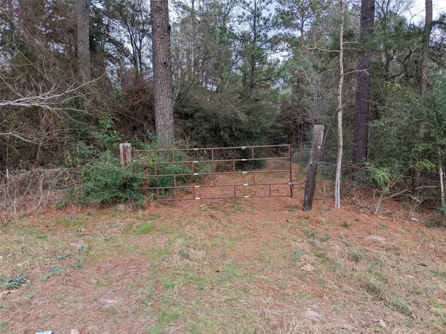 $800 | 2404 Highway 75, Huntsville, TX 77320