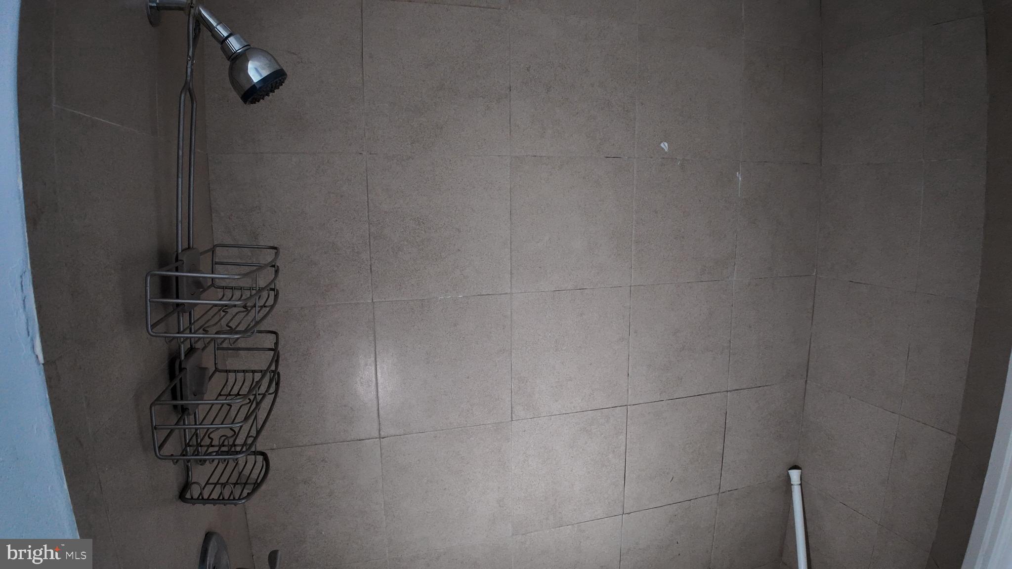 228 North Locust Street, Unit 4 Hagerstown, MD 21740 - Photo 14 of 16 a close view of shower