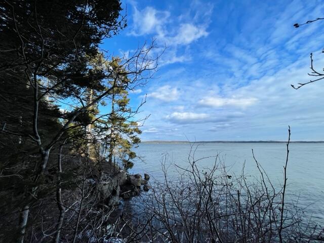 1065 Straight Bay Road Lubec, ME 04652 - Photo 113 of 121 IMG_4498