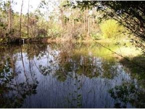 2425 Valkaria Malabar, FL 32950 - Photo 4 of 6 Additional Photo