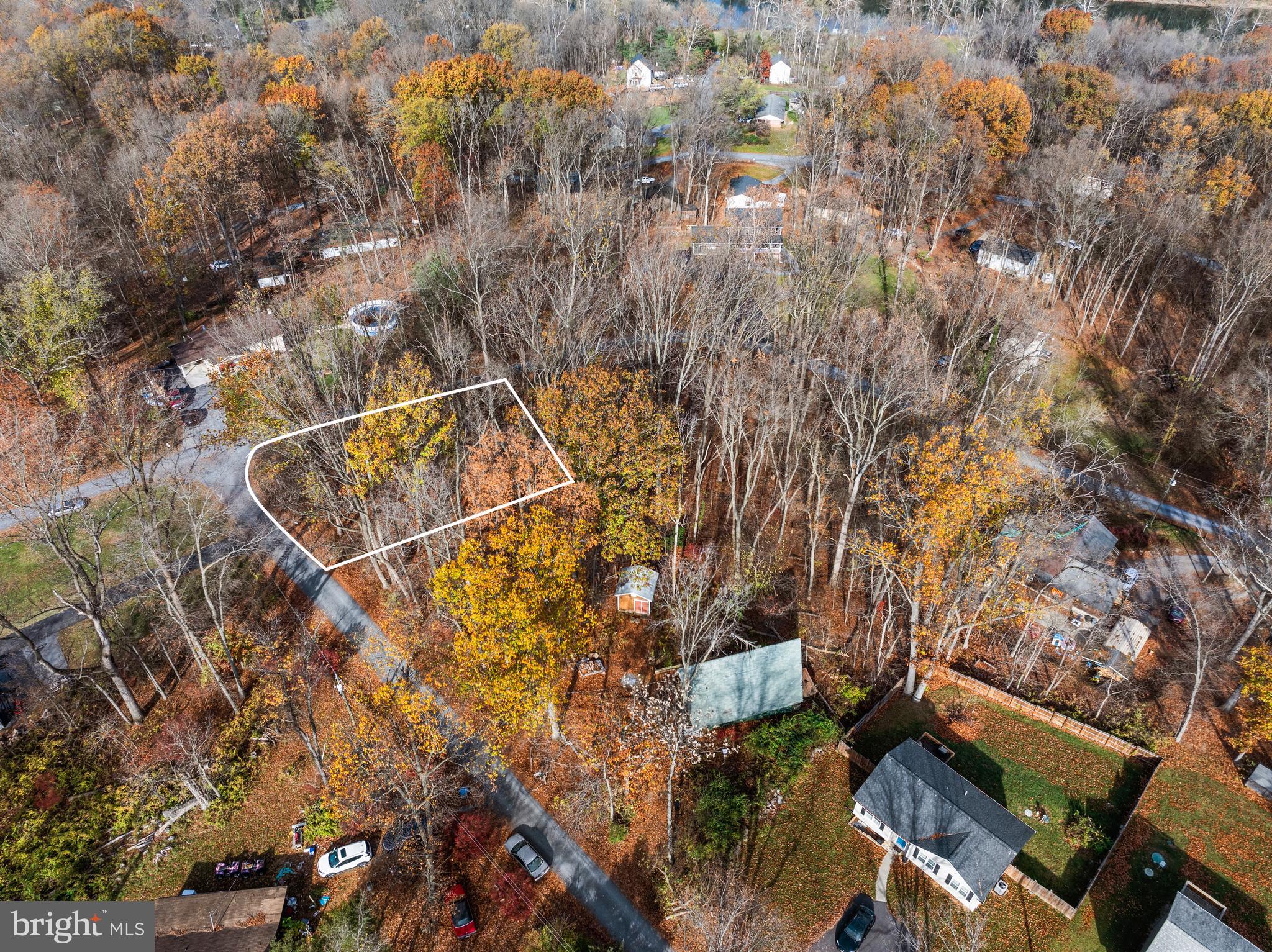 Locust Grove Road Front Royal, VA 22630 - Photo 4 of 10
