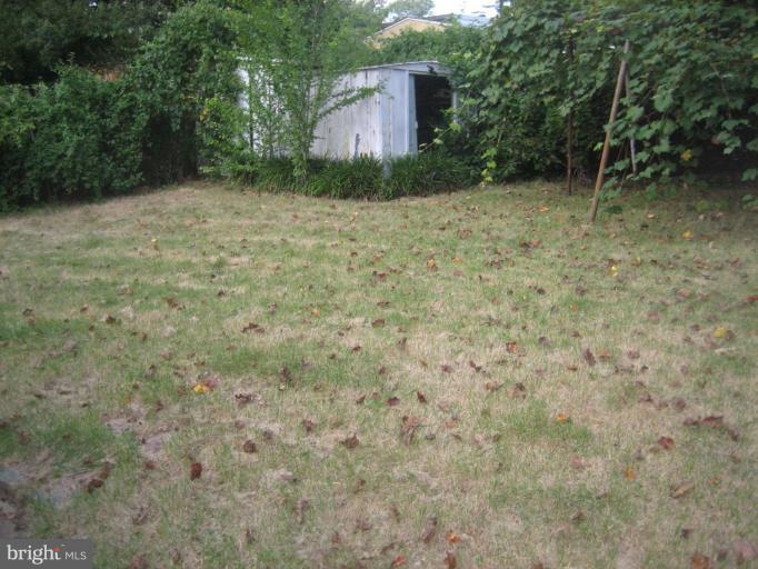 10605 Hayes Avenue Silver Spring, MD 20902 - Photo 5 of 13 Back yard