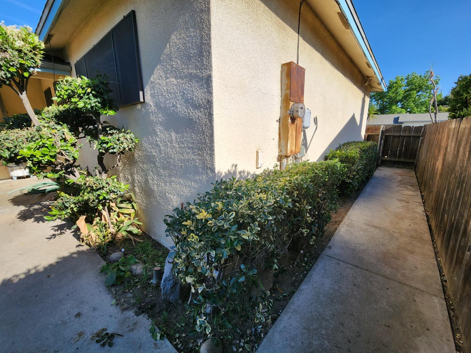 3653 Wright Street Selma, CA 93662 - Photo 41 of 41 a view of a pathway with a flower plants