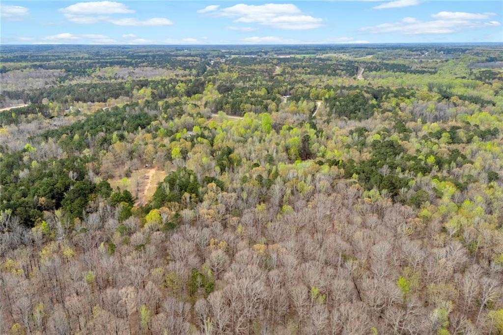 857 Cooper Road Social Circle, GA 30025 - Photo 64 of 88 a view of city and green space