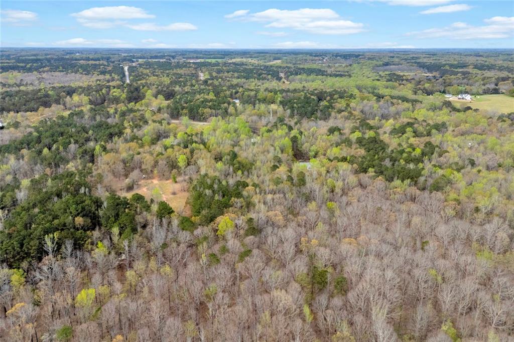 857 Cooper Road Social Circle, GA 30025 - Photo 65 of 88