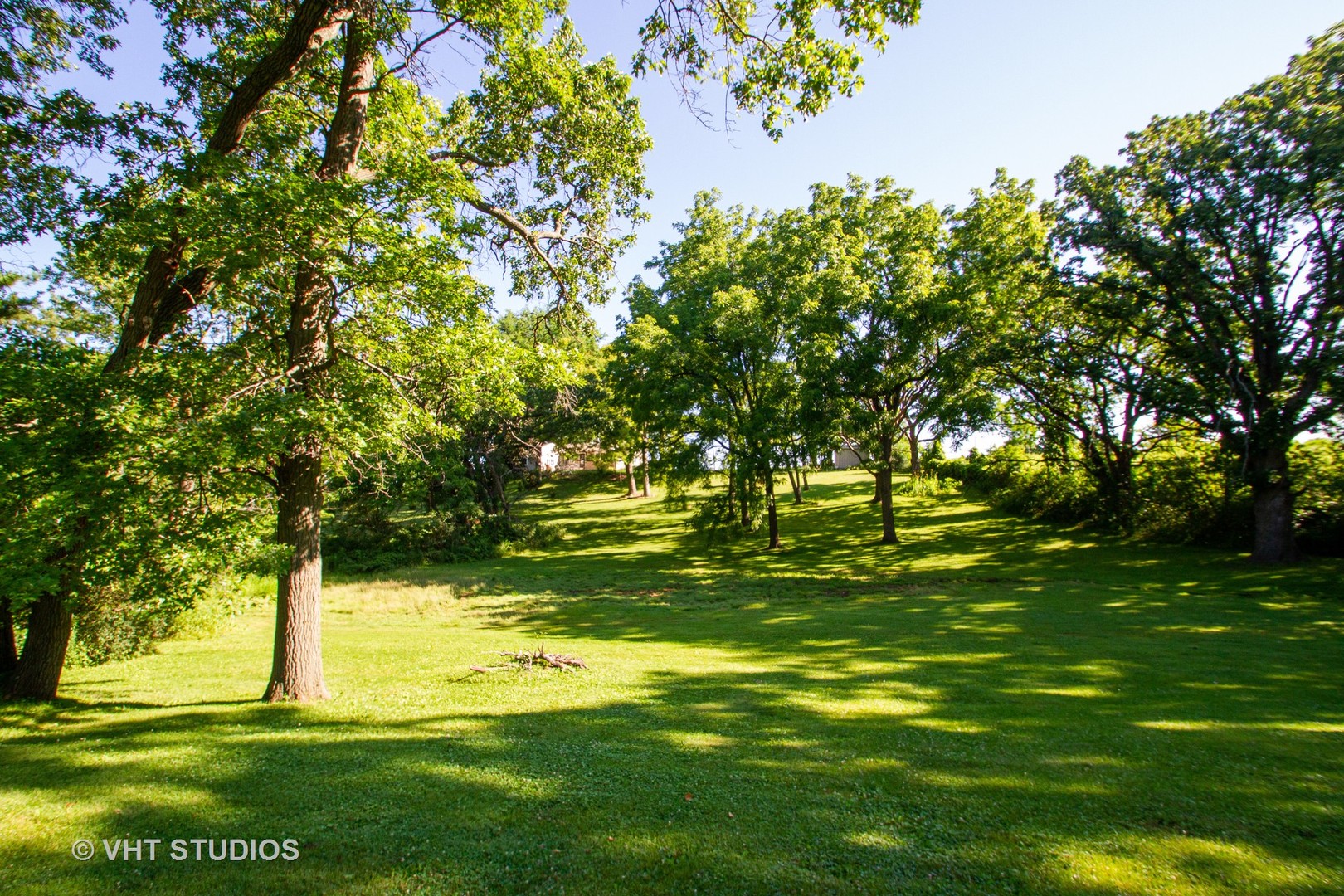 21102 Robin Road Harvard, IL 60033 - Photo 6 of 21 a view of a trees in a yard