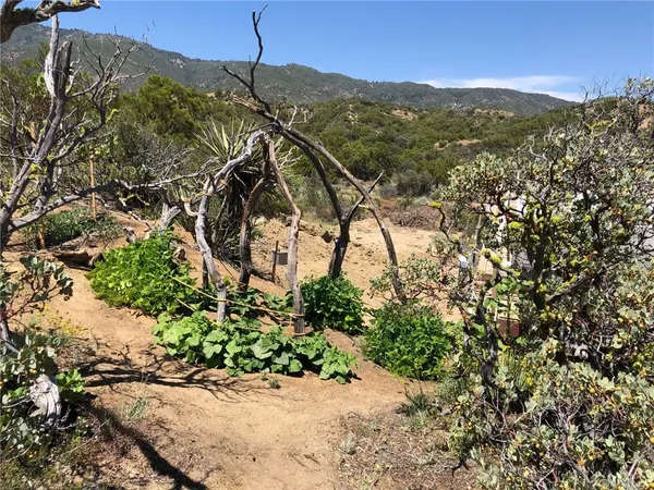 $130,000 | 0 Sierra Vista Road, Anza, CA 92539