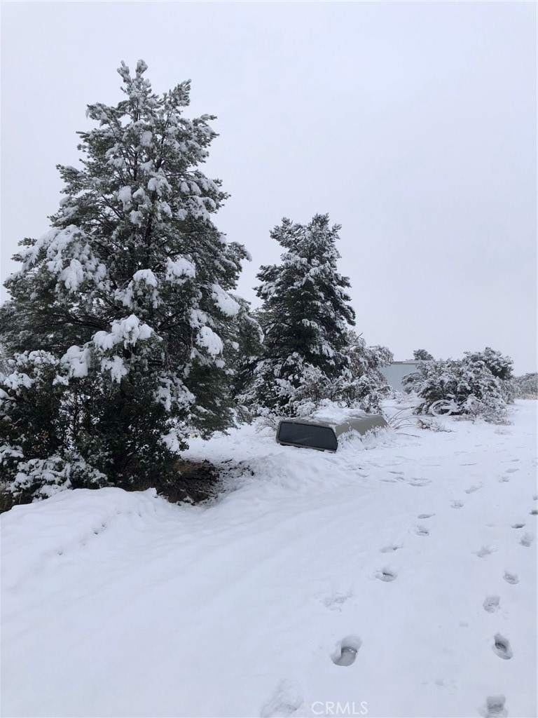 0 Sierra Vista Road Anza, CA 92539 - Photo 12 of 13 a view of lot of snow