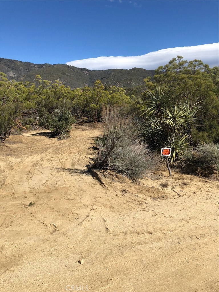 0 Sierra Vista Road Anza, CA 92539 - Photo 3 of 13 a view of a yard with a snow
