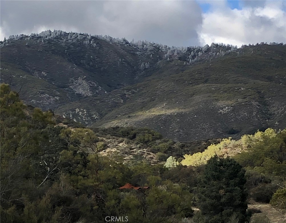 0 Sierra Vista Road Anza, CA 92539 - Photo 5 of 13 a view of a yard with mountain