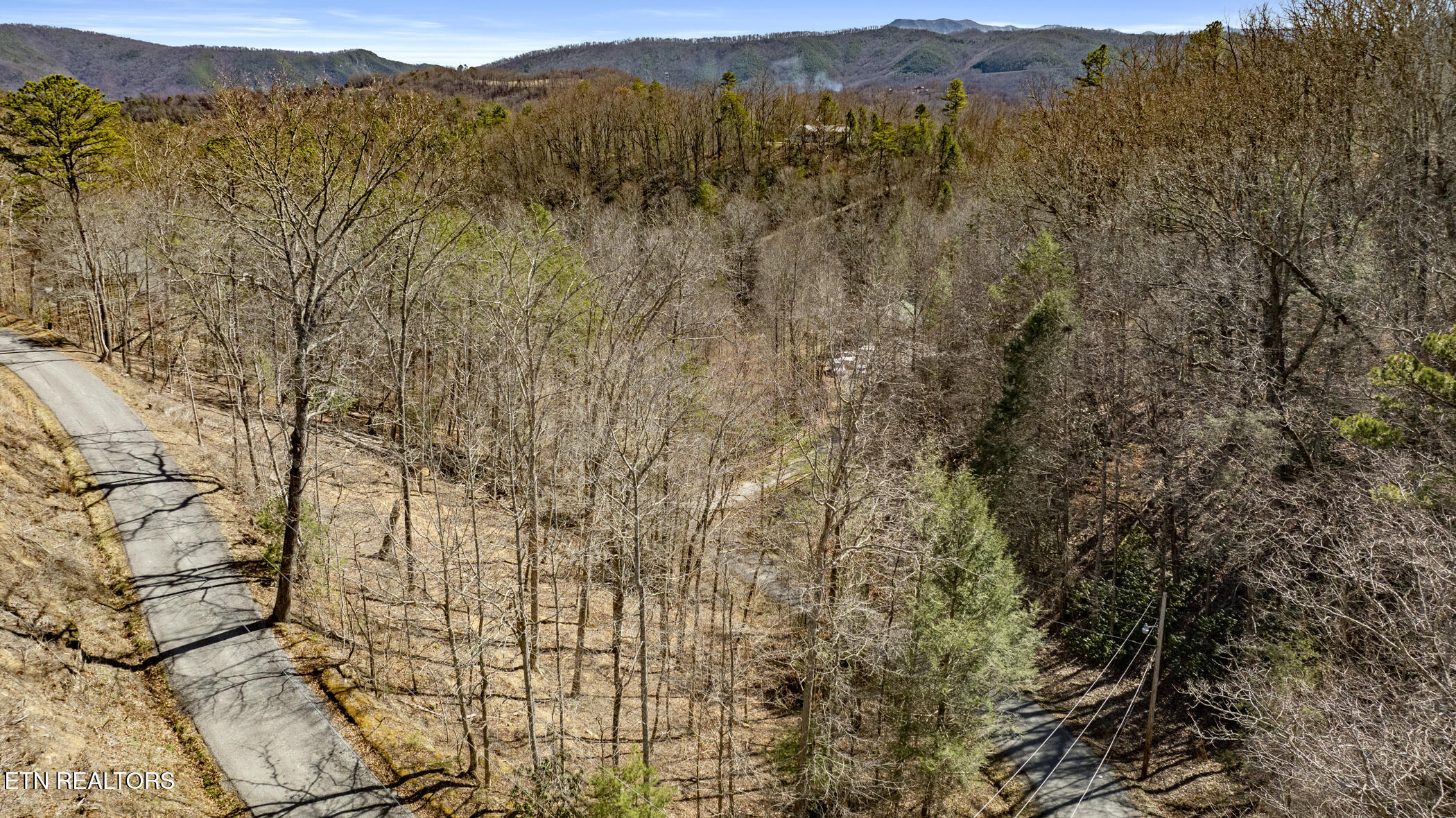 272 Cove Hollow Road Cosby, TN 37722 - Photo 17 of 17 COVE HOLLOW 18