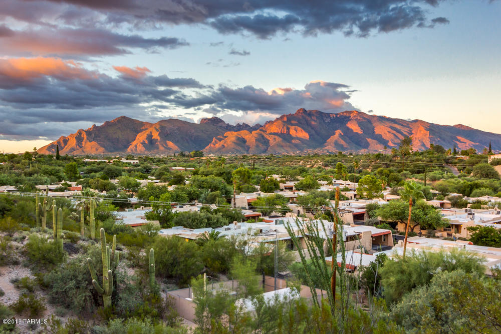 650 West River Road Tucson, AZ 85704 - Photo 3 of 37 Gallery Image 3