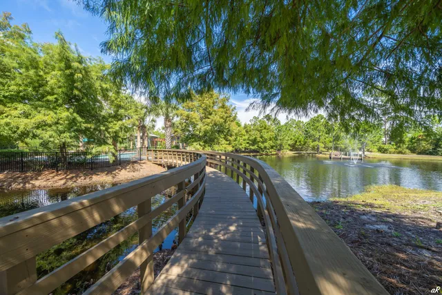 a view of a park with large trees
