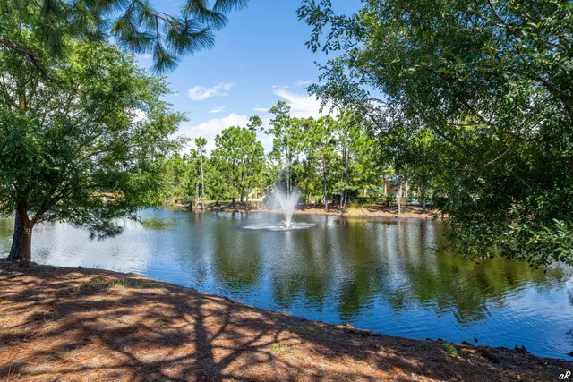 a view of a park with tree s