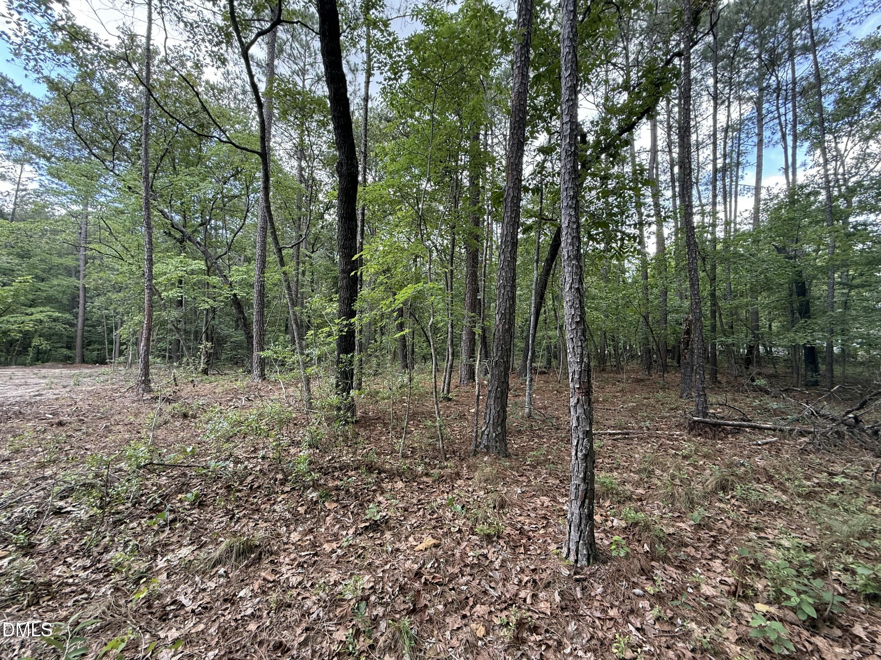 0 Elfman Drive Spring Lake, NC 28390 - Photo 2 of 40 a view of a forest with trees in the background