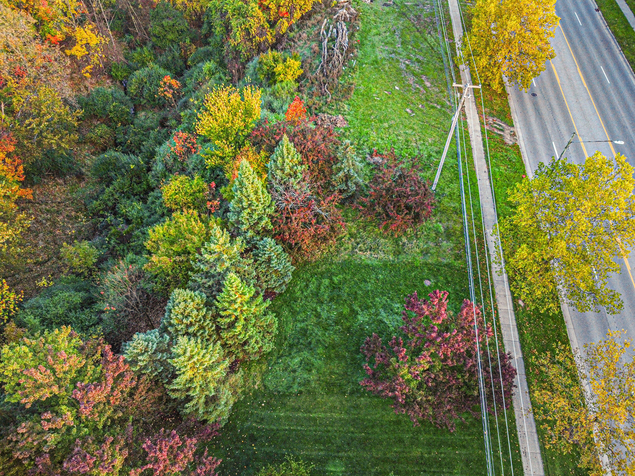 3953 Breton Road Southeast Grand Rapids, MI 49508 - Photo 12 of 13 012_dji_0438_666