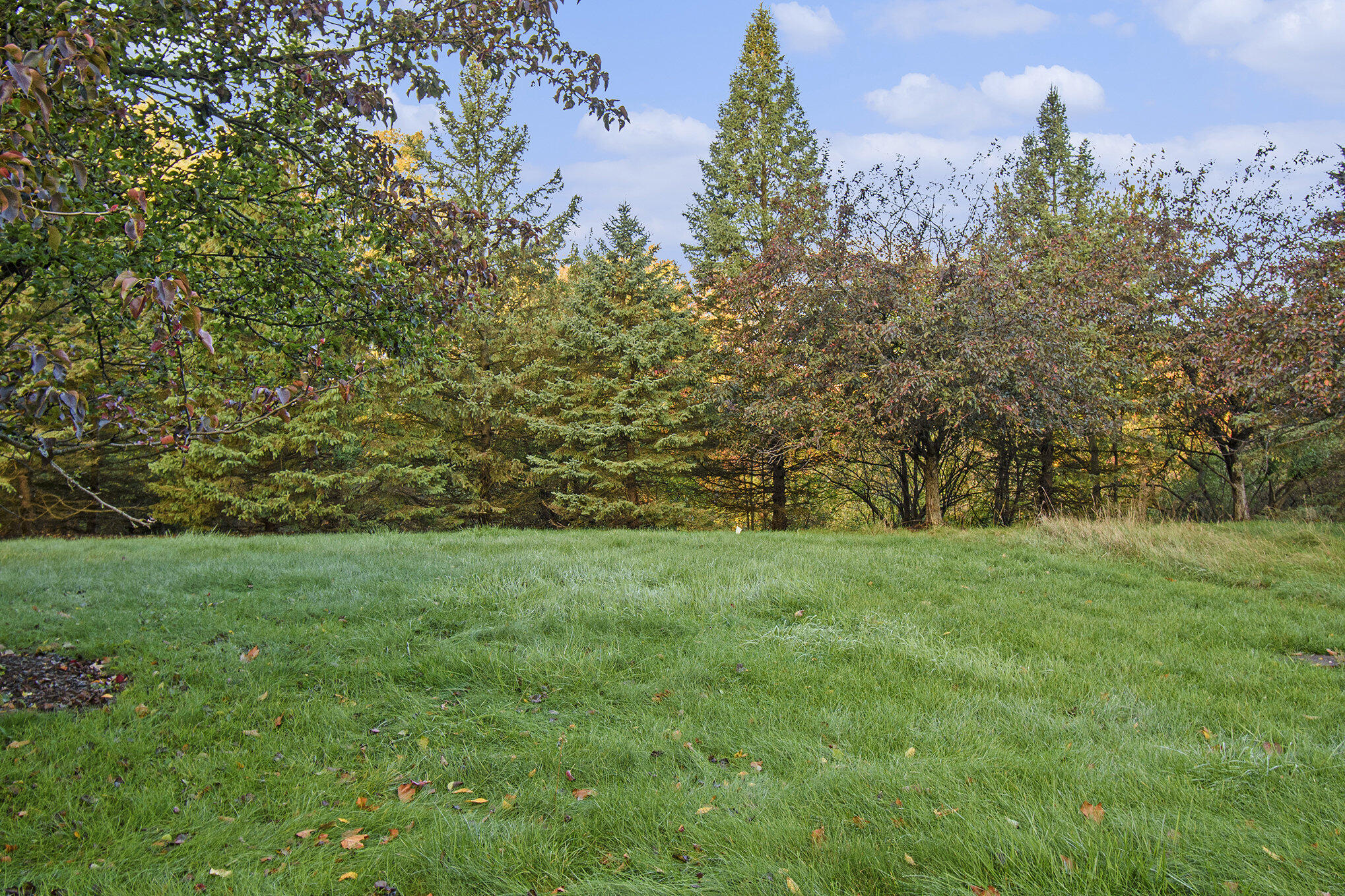 3953 Breton Road Southeast Grand Rapids, MI 49508 - Photo 2 of 13 002__dsc4105_851