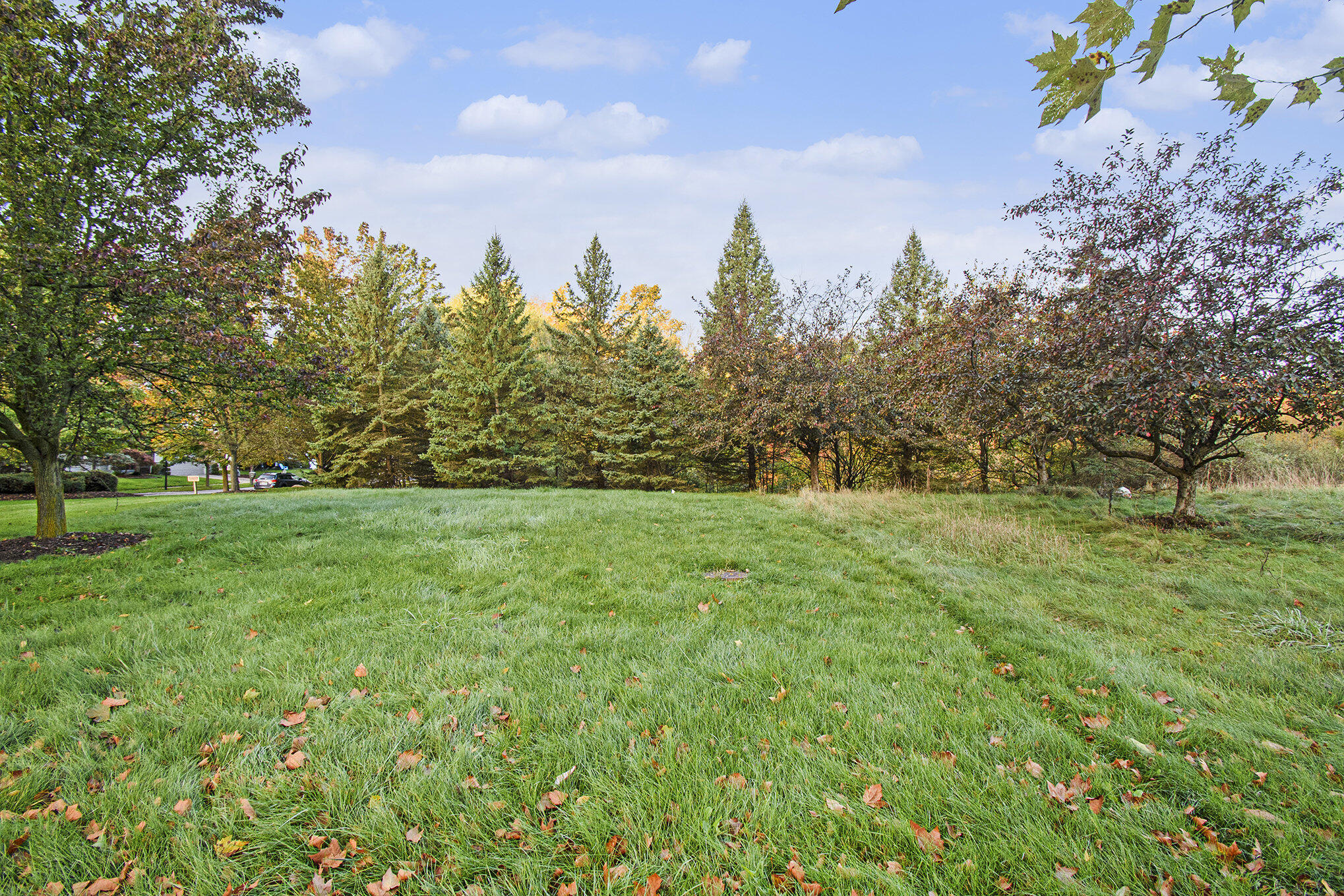 3953 Breton Road Southeast Grand Rapids, MI 49508 - Photo 5 of 13 005__dsc4092_835