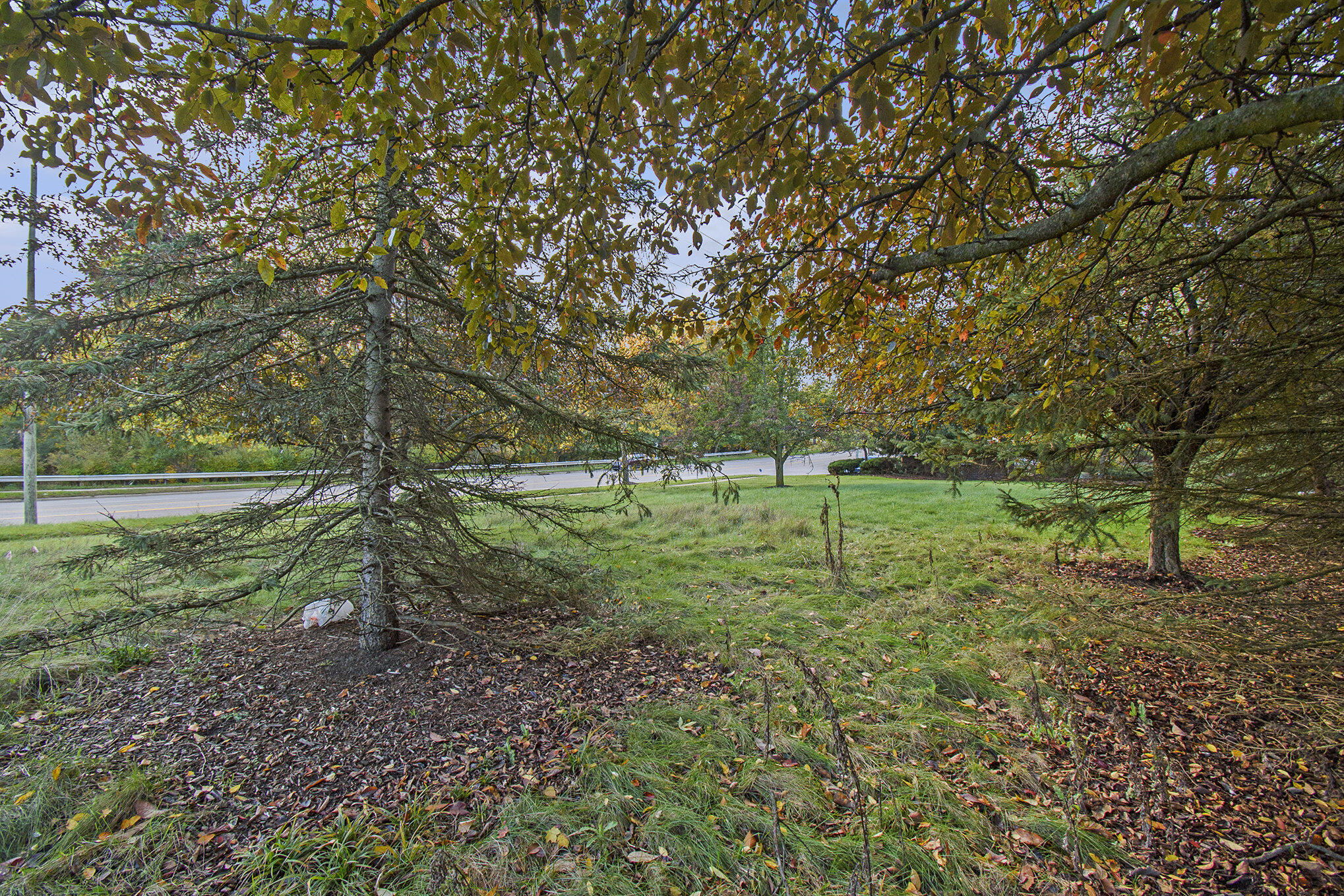 3953 Breton Road Southeast Grand Rapids, MI 49508 - Photo 8 of 13 008__dsc4099_8