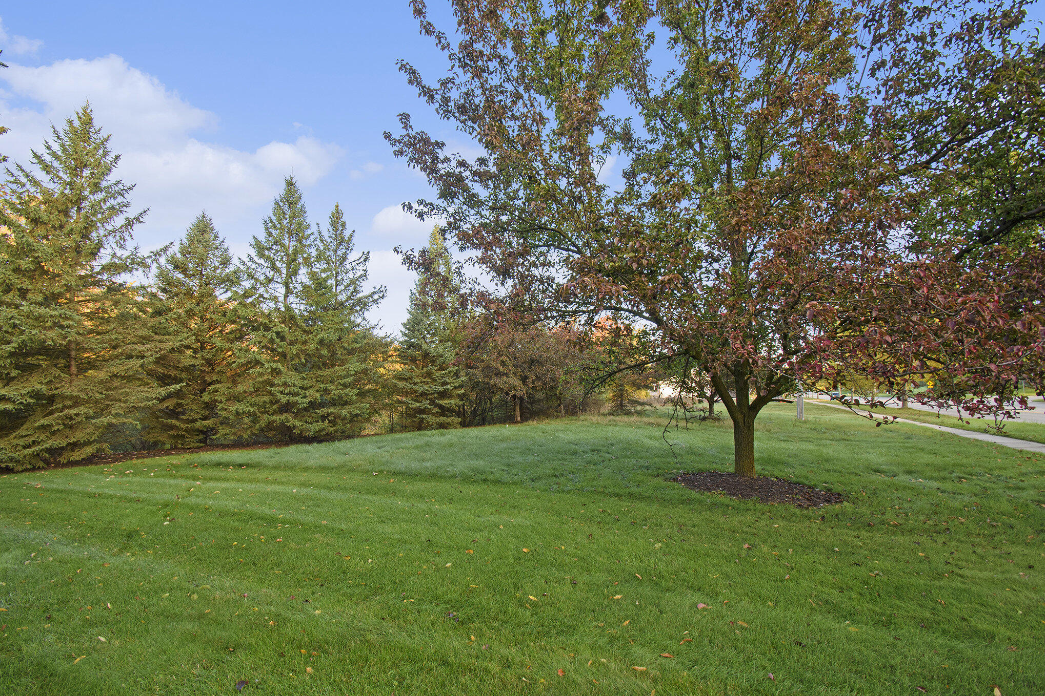 3953 Breton Road Southeast Grand Rapids, MI 49508 - Photo 10 of 13 010__dsc4102_695