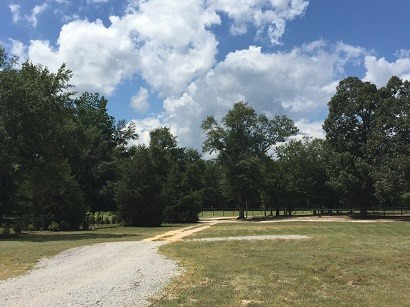 623 Jones Bridge Road North, SC 29112 - Photo 44 of 48