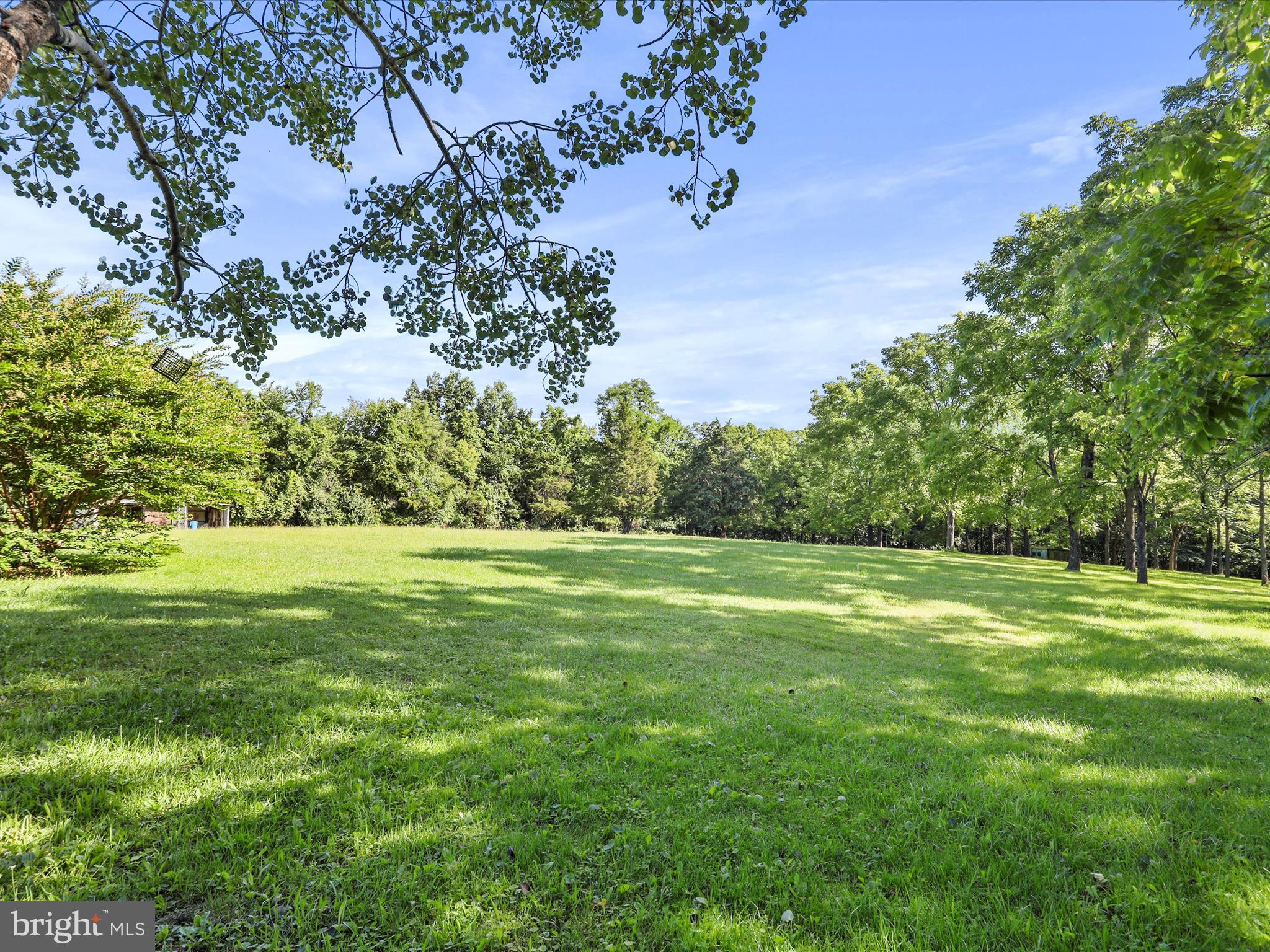 457 Tea Berry Road Maurertown, VA 22644 - Photo 19 of 34 Gallery Image 19