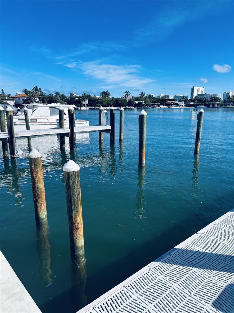 4701 Meridian Avenue Miami Beach, FL 33140 - Photo 2 of 4 a view of a lake from a balcony
