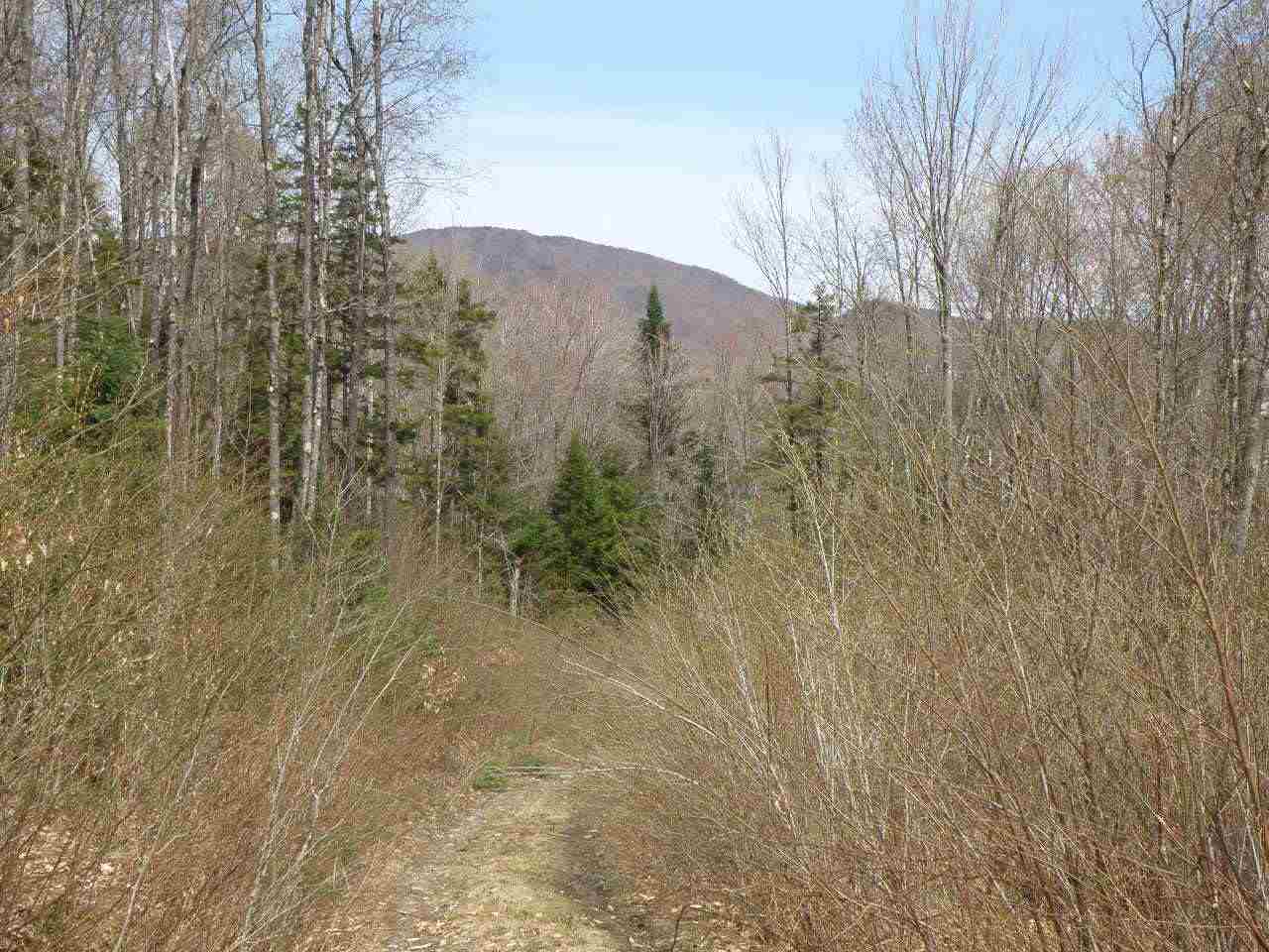 A Bog Road Belvidere Center, VT 05442 - Photo 6 of 10 Gallery Image 6