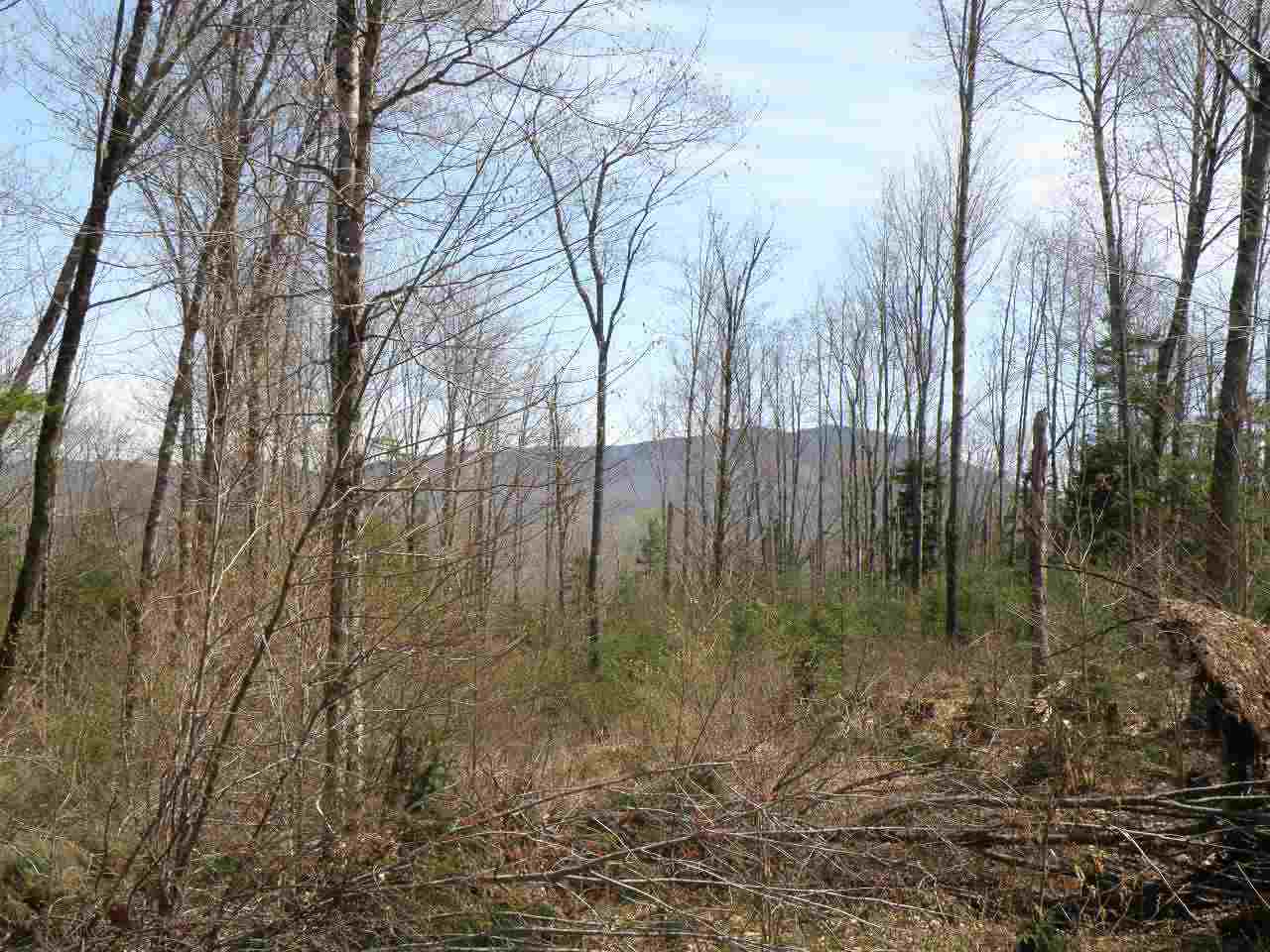 A Bog Road Belvidere Center, VT 05442 - Photo 7 of 10 Gallery Image 7