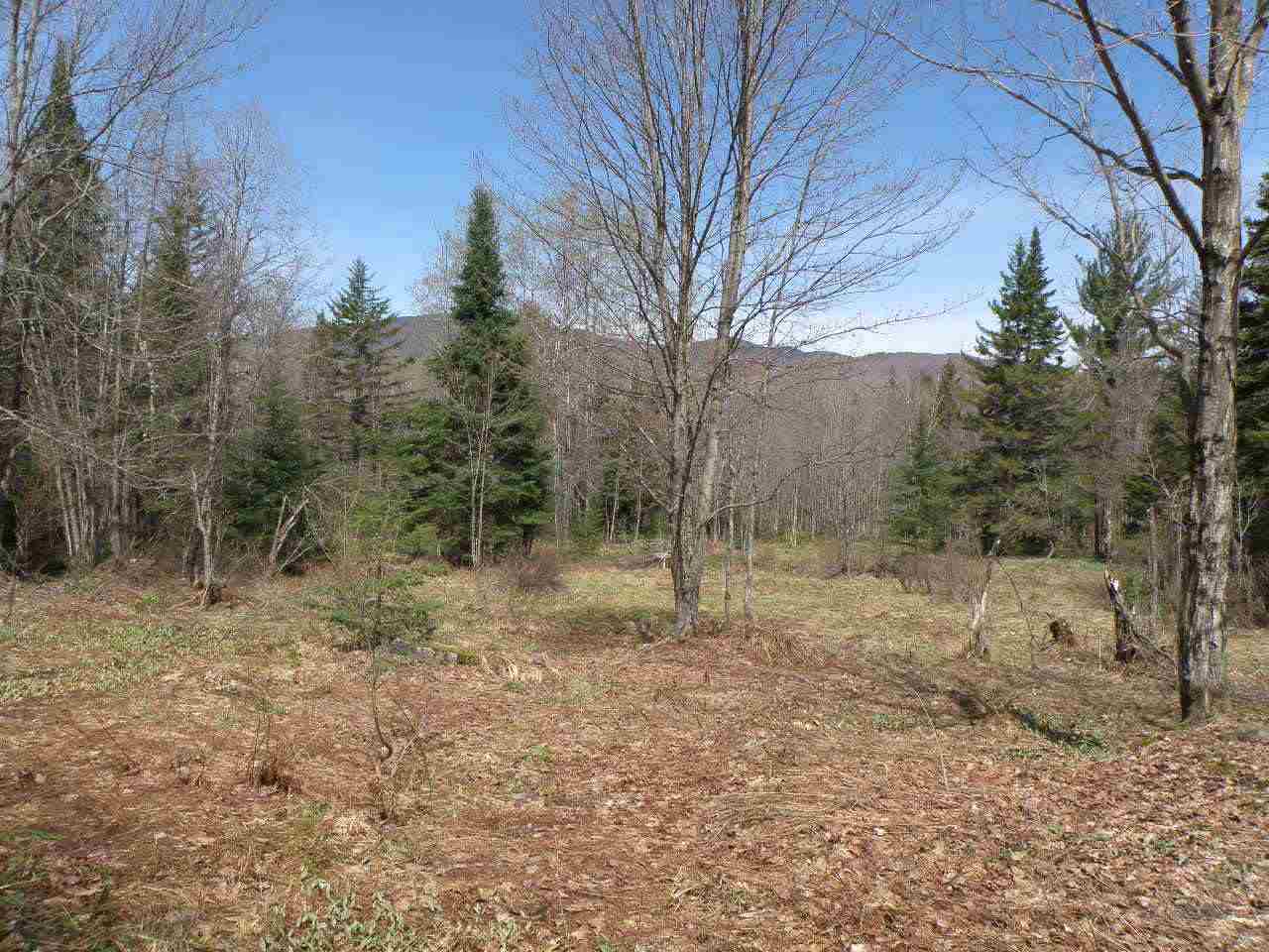 A Bog Road Belvidere Center, VT 05442 - Photo 8 of 10 Gallery Image 8