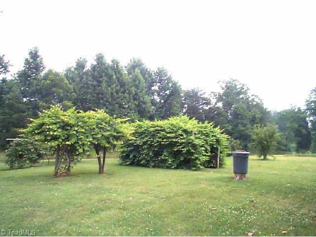 411 Aspen Road Reidsville, NC 27320 - Photo 9 of 9 Other. Grape Arbor
