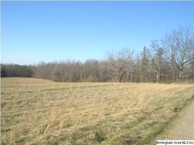 4625 Highway 24 Springville Al Springville, AL 35146 - Photo 17 of 29
