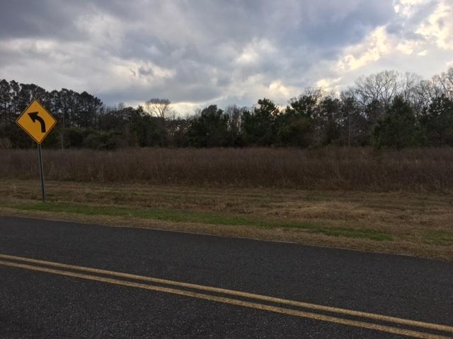 4725 Westervelt Road Meggett, SC 29449 - Photo 2 of 2 4725 Westervelt Pic 2