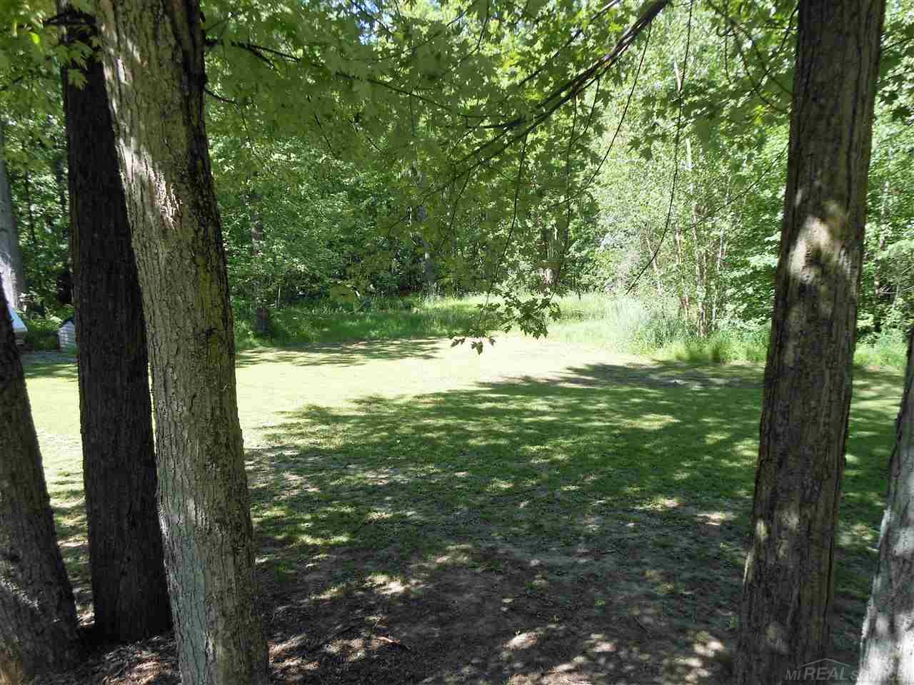 5069 Martin Road Capac, MI 48014 - Photo 9 of 40