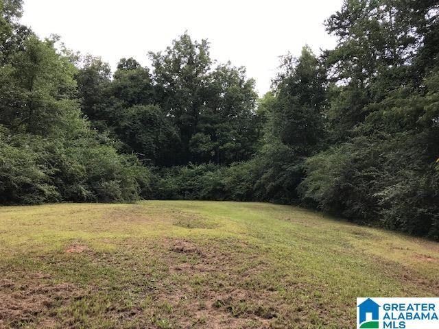 68 Geneva Road Talladega, AL 35160 - Photo 29 of 30