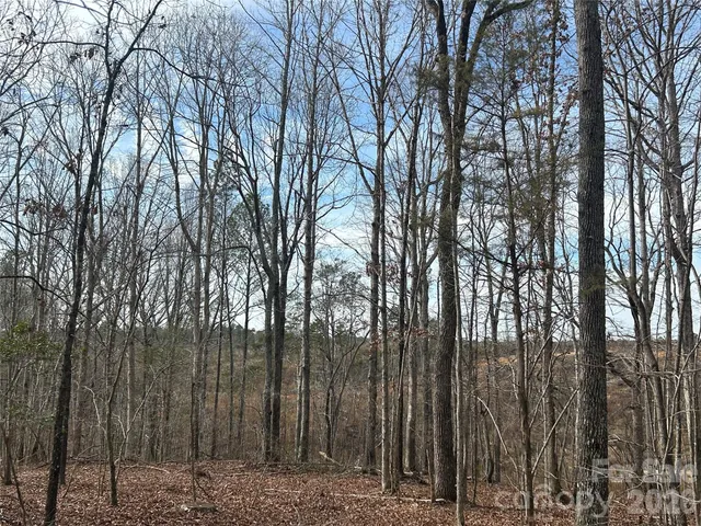 $214,500 | 33-ac Lot A Country Side Drive, Blackstock, SC 29014