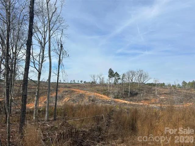 a view of outdoor space with lots of trees