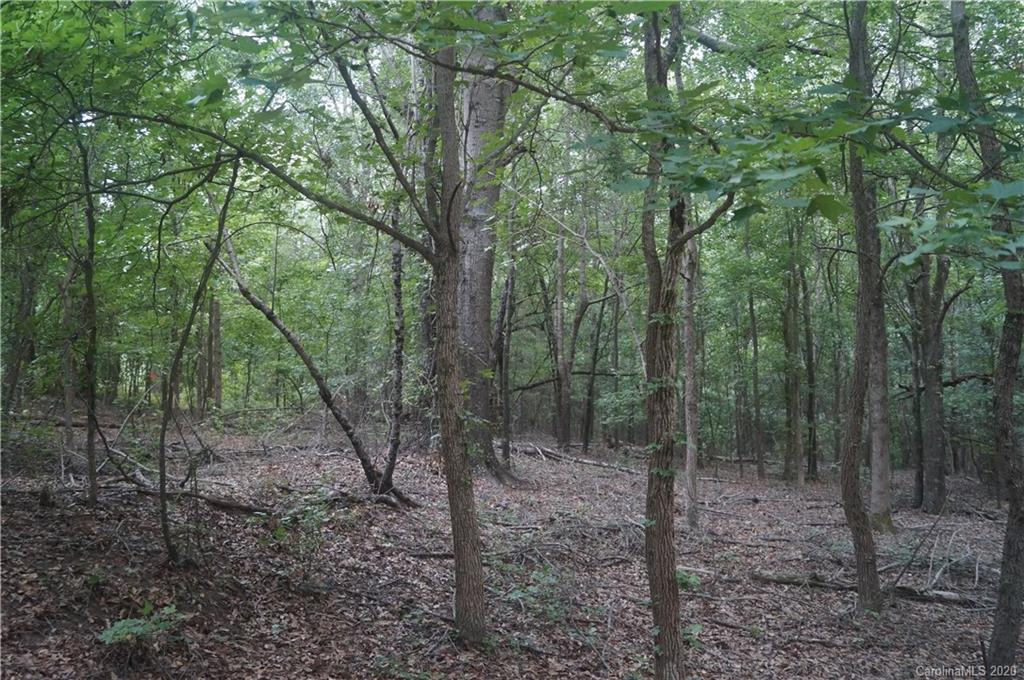 0 Bentley Town Rd Union Union, SC 29379 - Photo 22 of 26