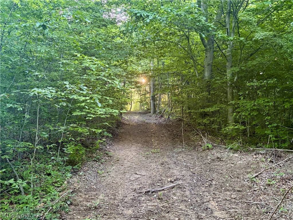 Sykes Ridge Road Clarington, OH 43915 - Photo 28 of 42