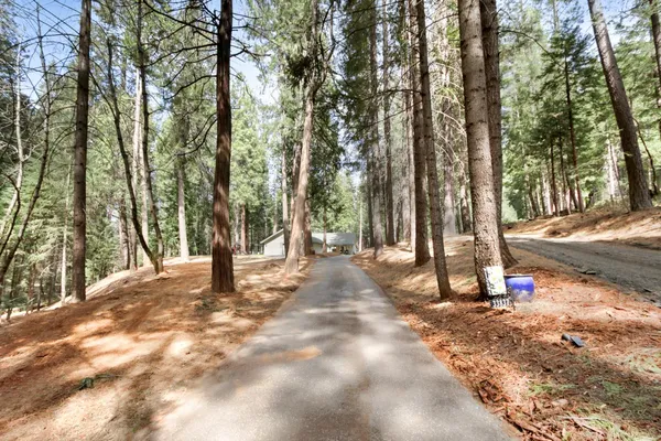 $599,000 | 33837 Nary Red Road, Alta, CA 95701
