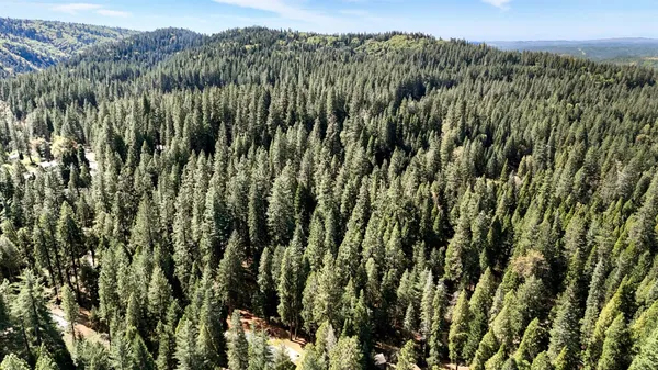$599,000 | 33837 Nary Red Road, Alta, CA 95701
