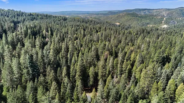 $635,000 | 33837 Nary Red Road, Alta, CA 95701