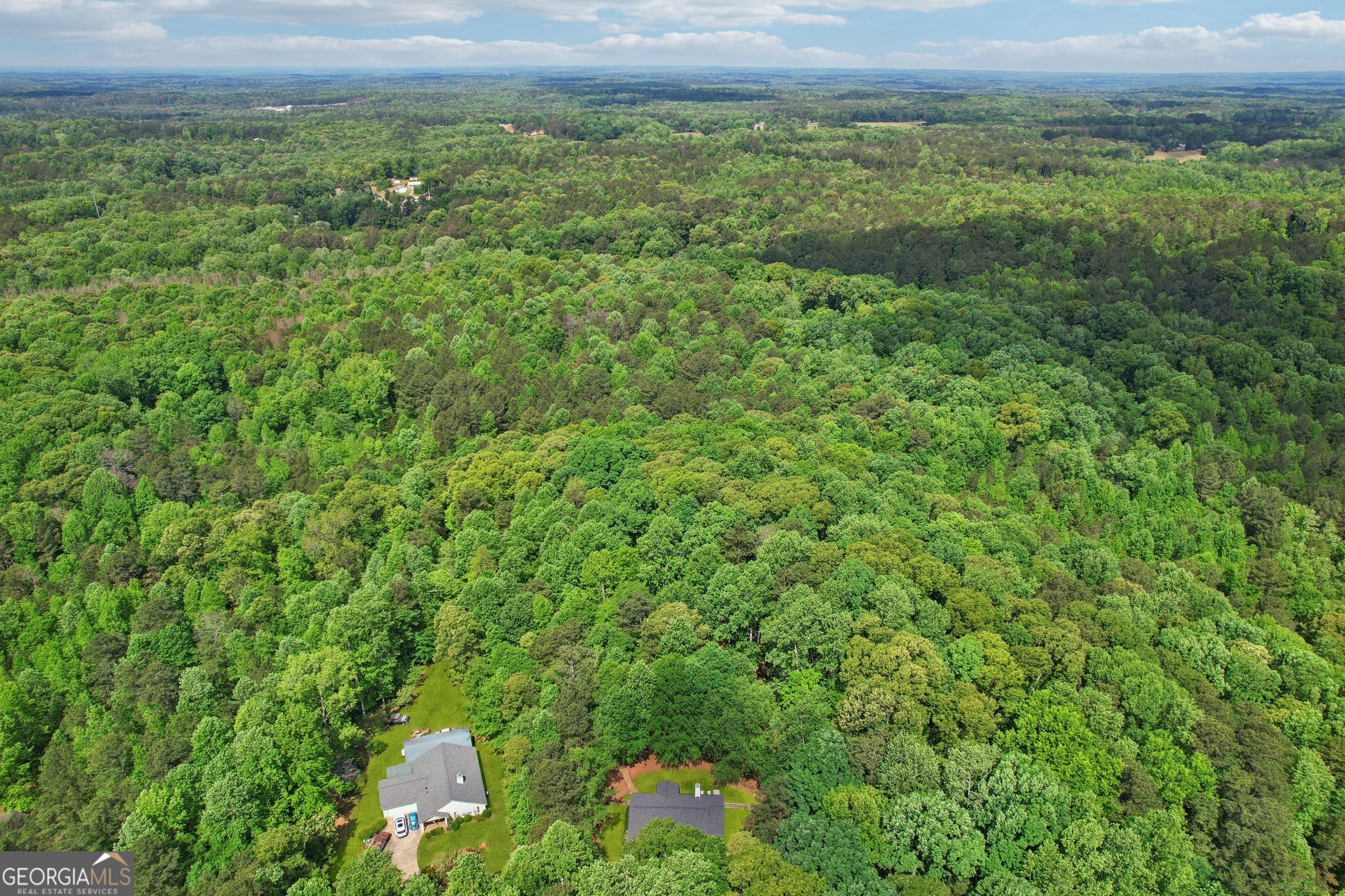271 Pete Davis Road Newnan, GA 30263 - Photo 42 of 46